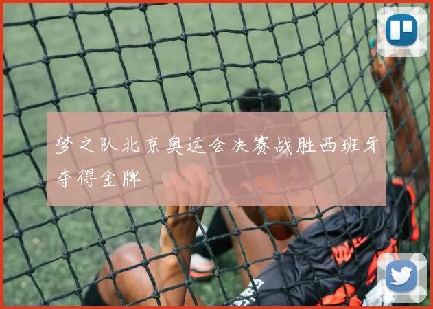 梦之队北京奥运会决赛战胜西班牙夺得金牌