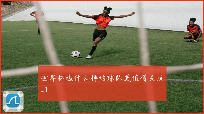 世界杯选什么样的球队更值得关注_1