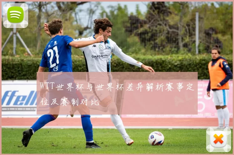 WTT世界杯与世界杯差异解析赛事定位及赛制对比