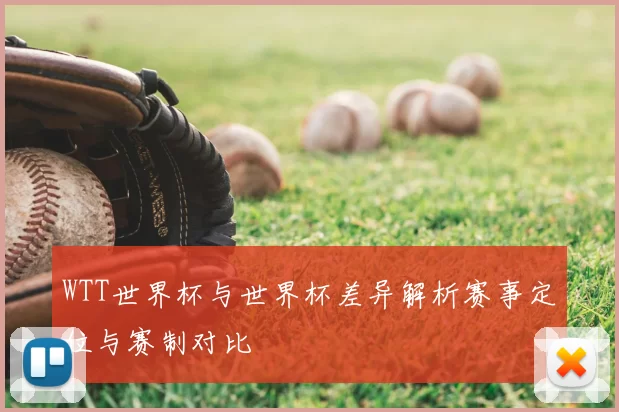 WTT世界杯与世界杯差异解析赛事定位与赛制对比