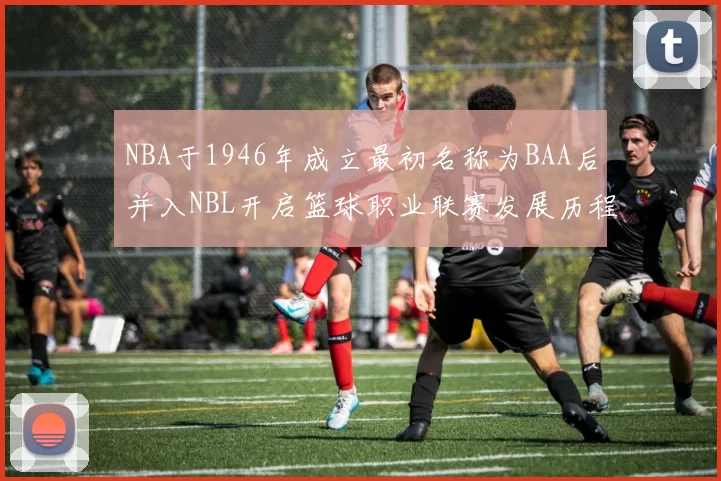 NBA于1946年成立最初名称为BAA后并入NBL开启篮球职业联赛发展历程