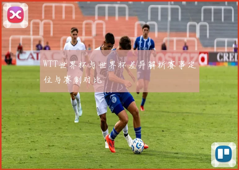 WTT世界杯与世界杯差异解析赛事定位与赛制对比